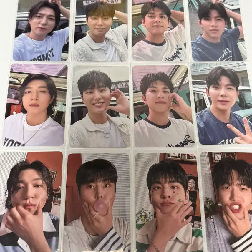 데이식스 포카 일괄 양도