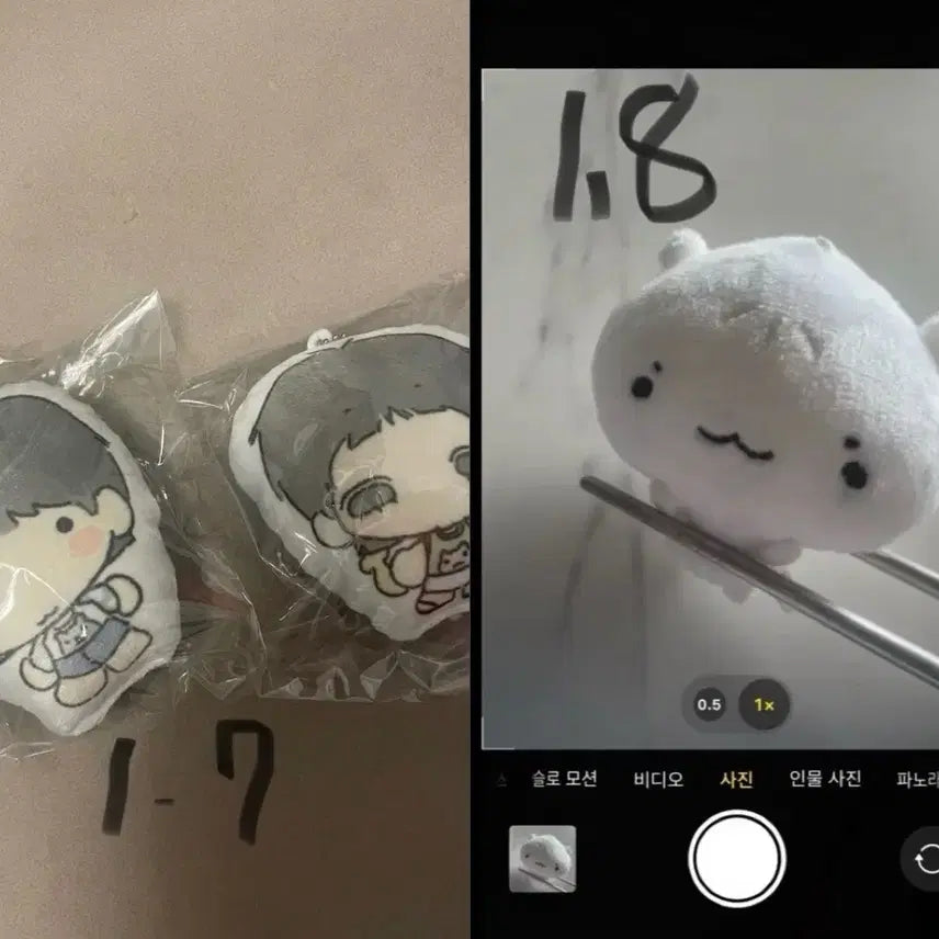 보넥도포카 보넥도 인형 양도합니다 쁘넥도 태산 운학