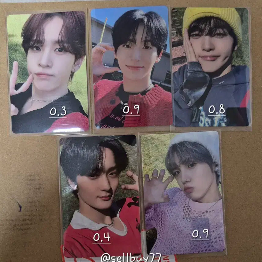 크래비티 포카 양도