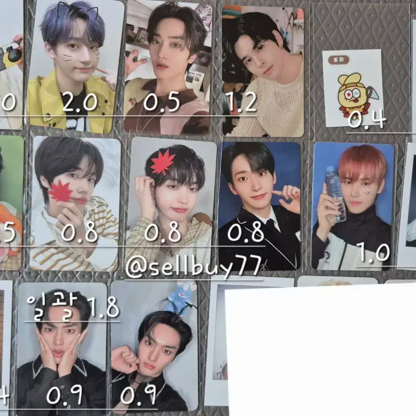 크래비티 포카 양도