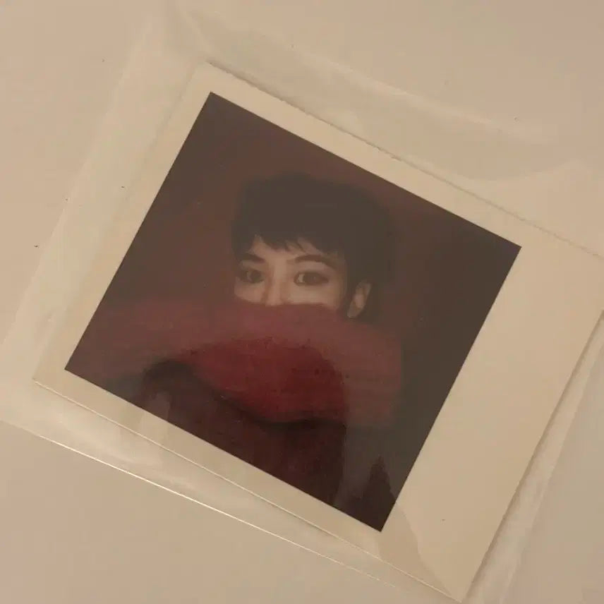 지디 웰커밍 컬렉션 폴라로이드