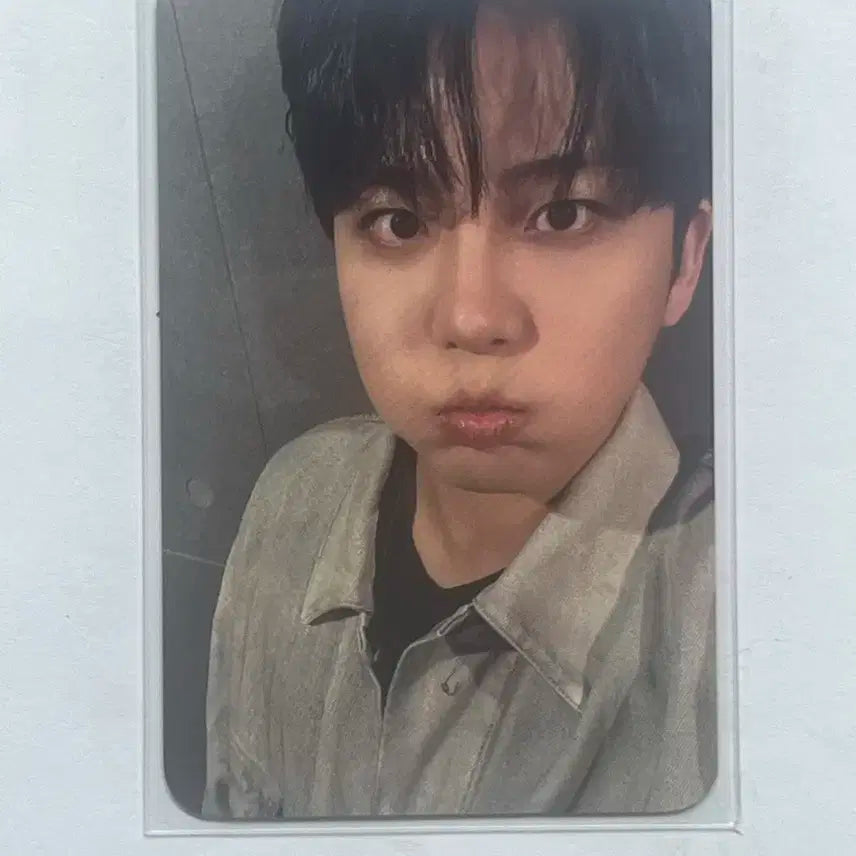 에이티즈 종호 북미투어 티니존 포카 양도