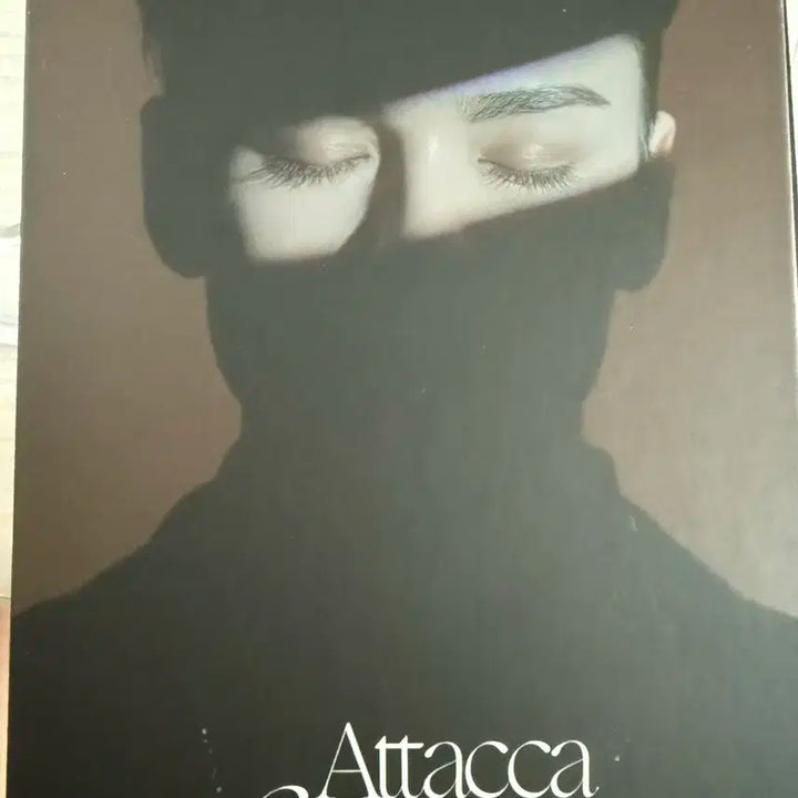 급처 일괄 만원))))세븐틴 아타카 앨범 Attacca 캐럿반