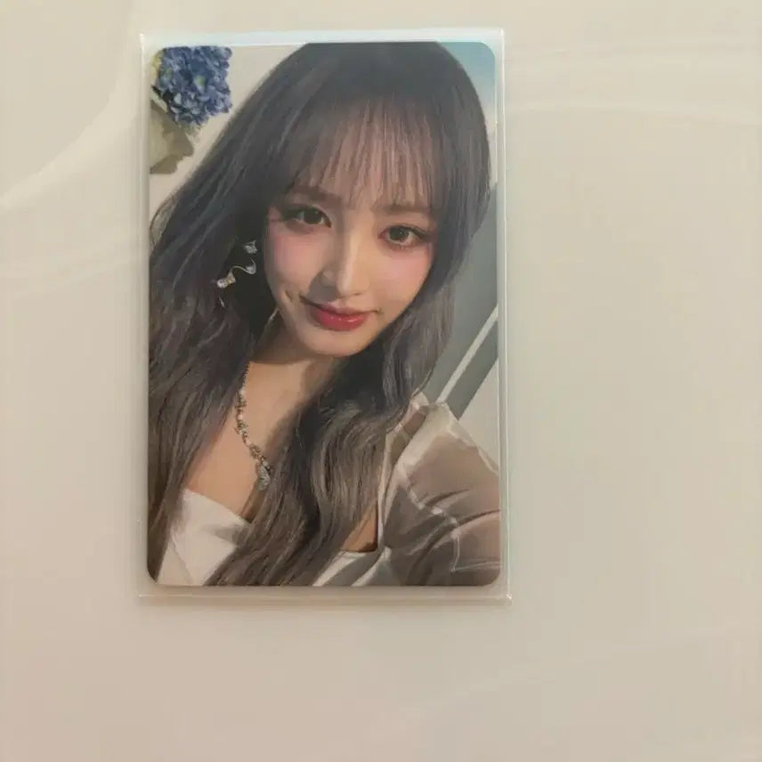 아이브 리즈 얼라이브 앨범 포카 양도 판매