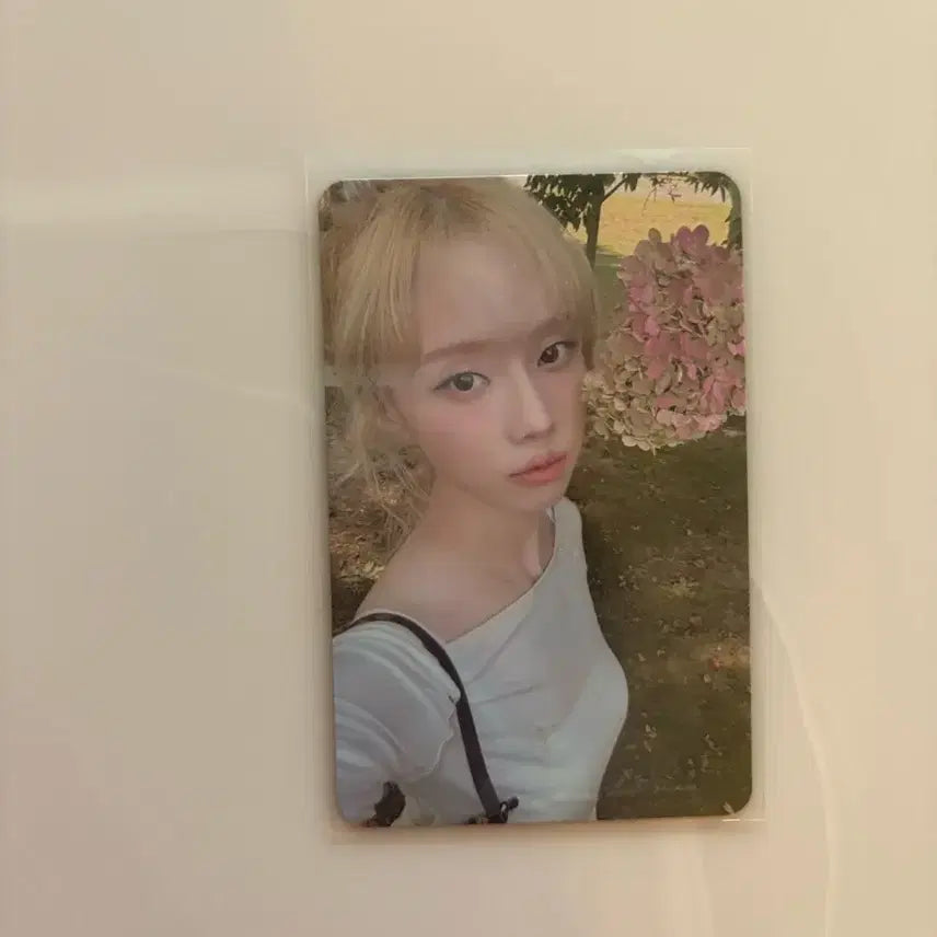 에스파 윈터 위플래시 sm스토어 포카 양도 판매