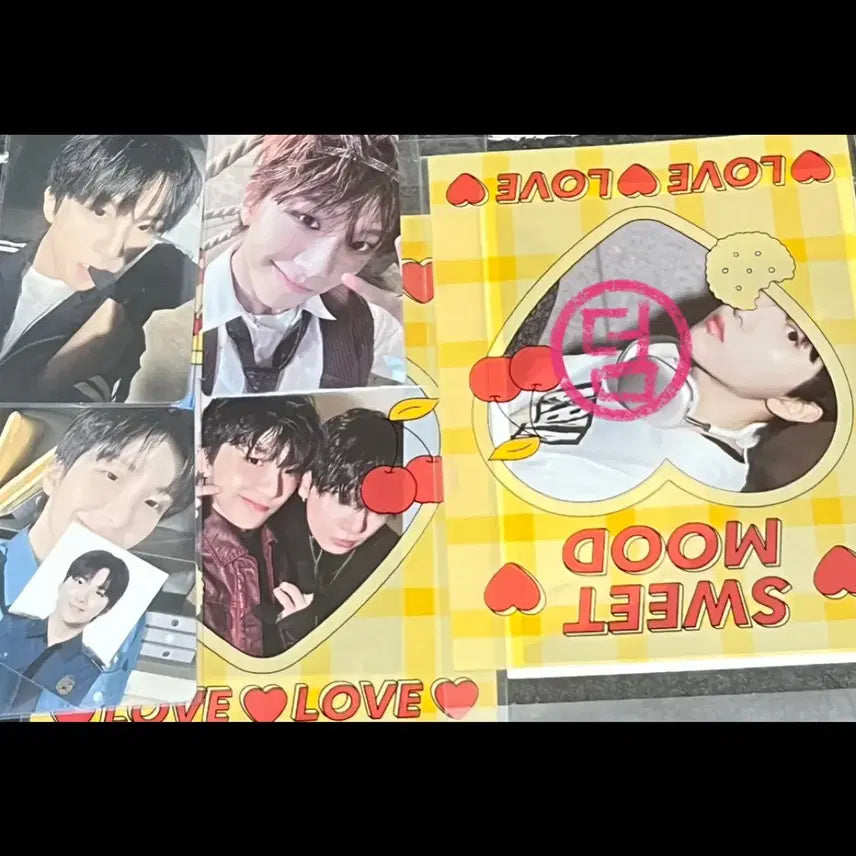 보넥도 김운학 포카 일괄 판매 노장르 특전 럭드 멤버십 2기키트