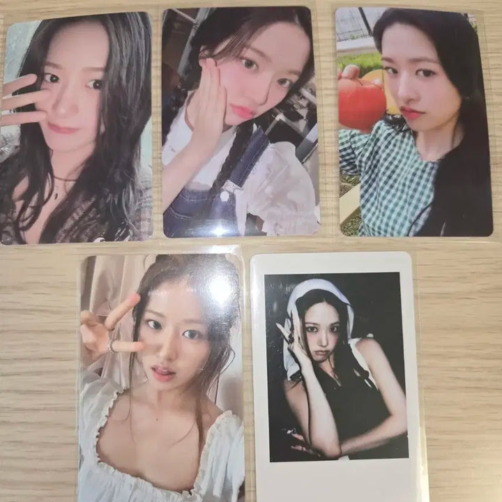앨포 덤으로주는)아이브 포카 일괄판매