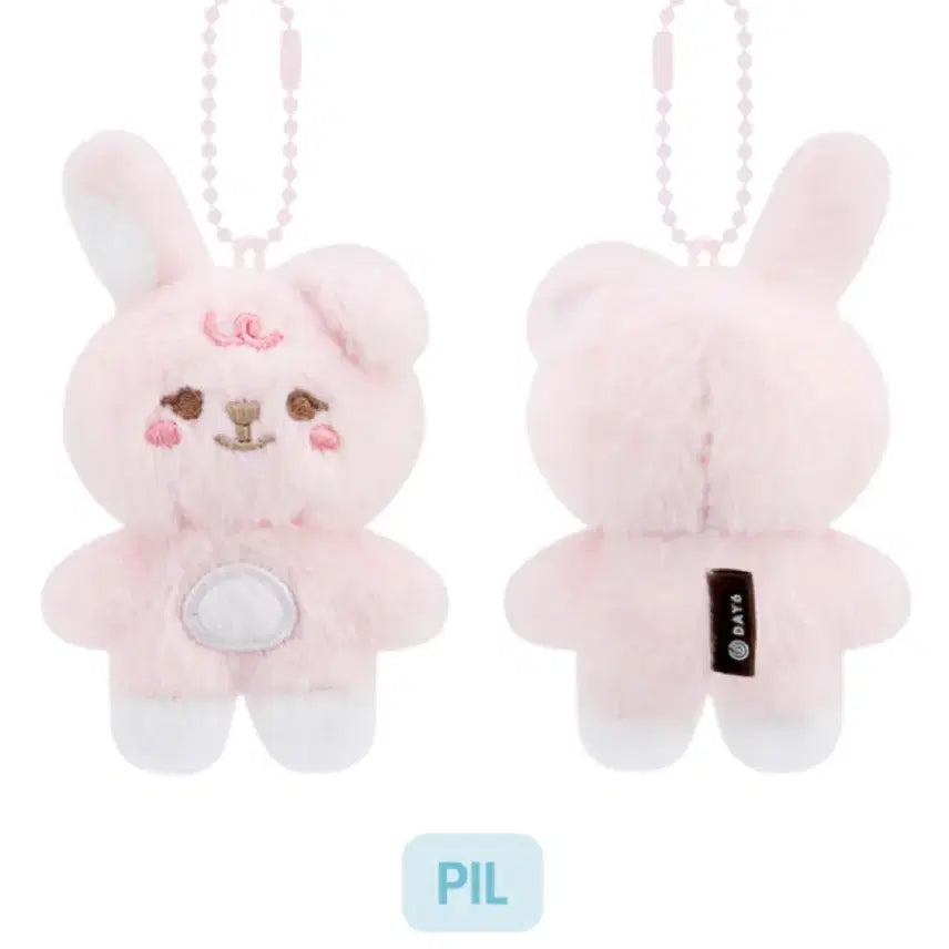 데이식스 쁘쁘멀 필