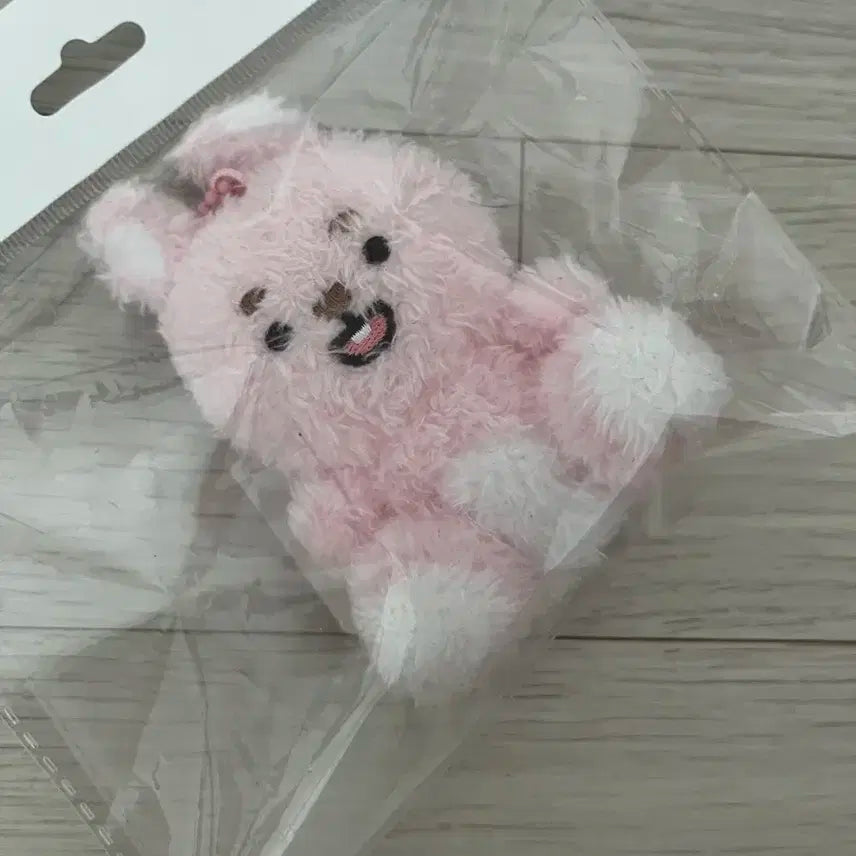 데이식스 데니멀즈 앉멀 필 양도