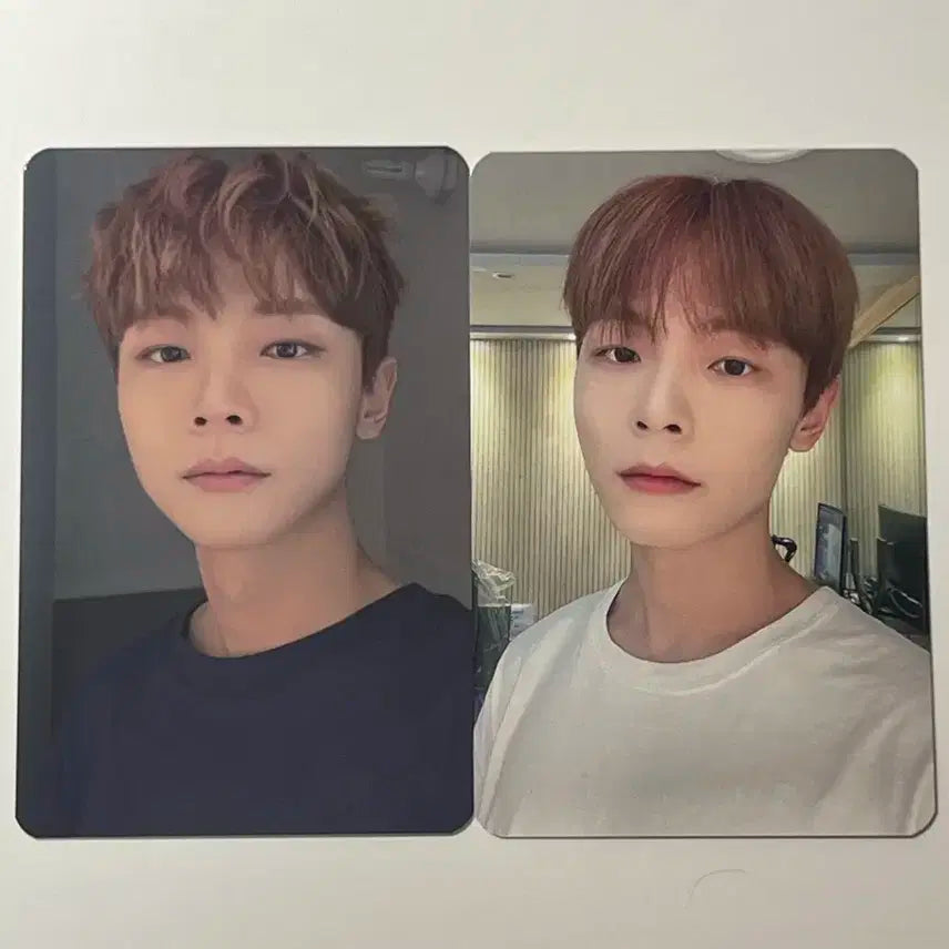 루시 신예찬 포카 일괄