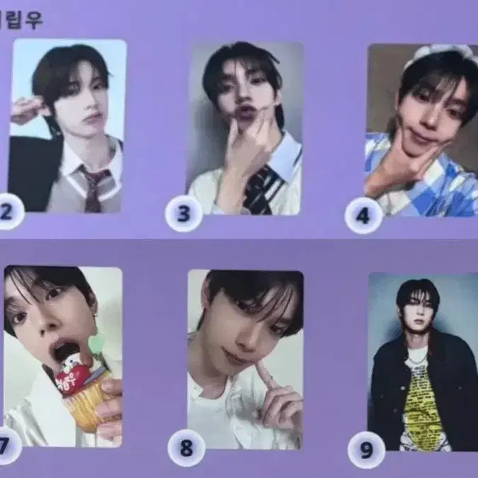 보플 아카이브 전시회 최립우 세트