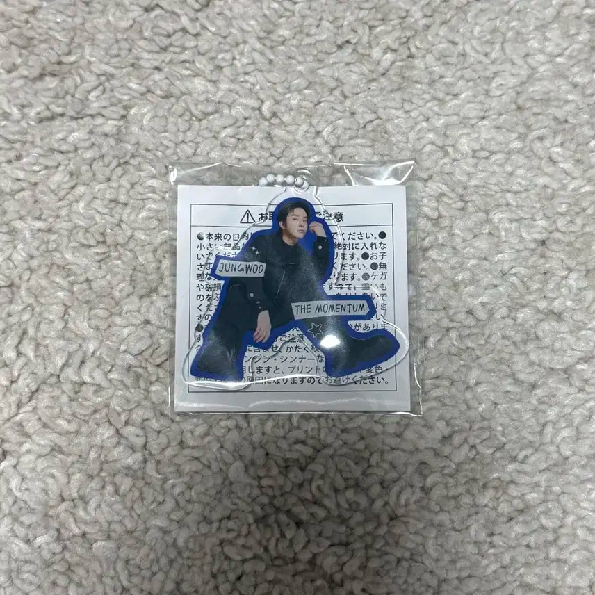 NCT127 THE MOMENTUM 정우 미니아크릴키링