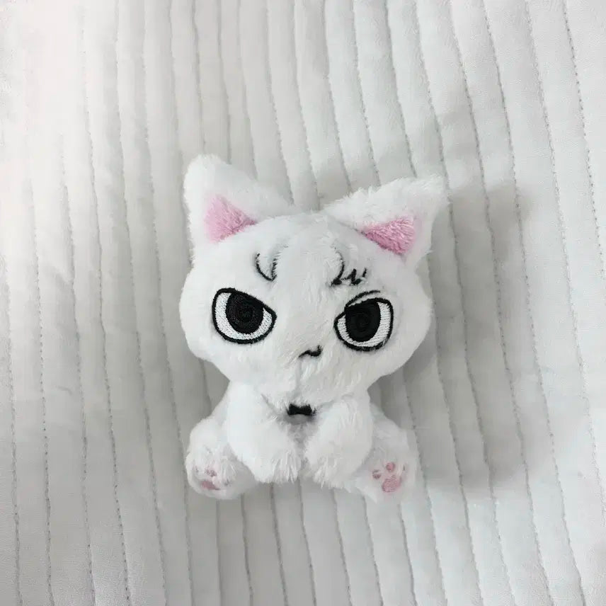 보이넥스트도어 보넥도 성호 흰게냥 인형 성게냥 예삐냥 비공굿 쁘넥도