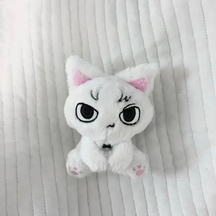 보이넥스트도어 보넥도 성호 흰게냥 인형 성게냥 예삐냥 비공굿 쁘넥도