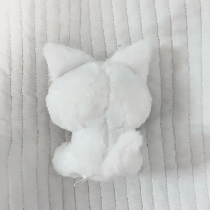 보이넥스트도어 보넥도 성호 흰게냥 인형 성게냥 예삐냥 비공굿 쁘넥도