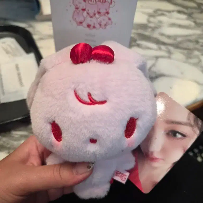 장원영 시크릿 체리 풀세트