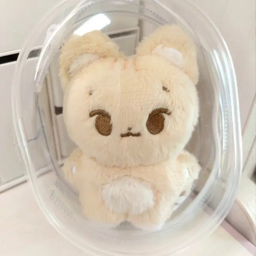 데이식스 DAY6 영케이 강영현 인형 비공굿 양도