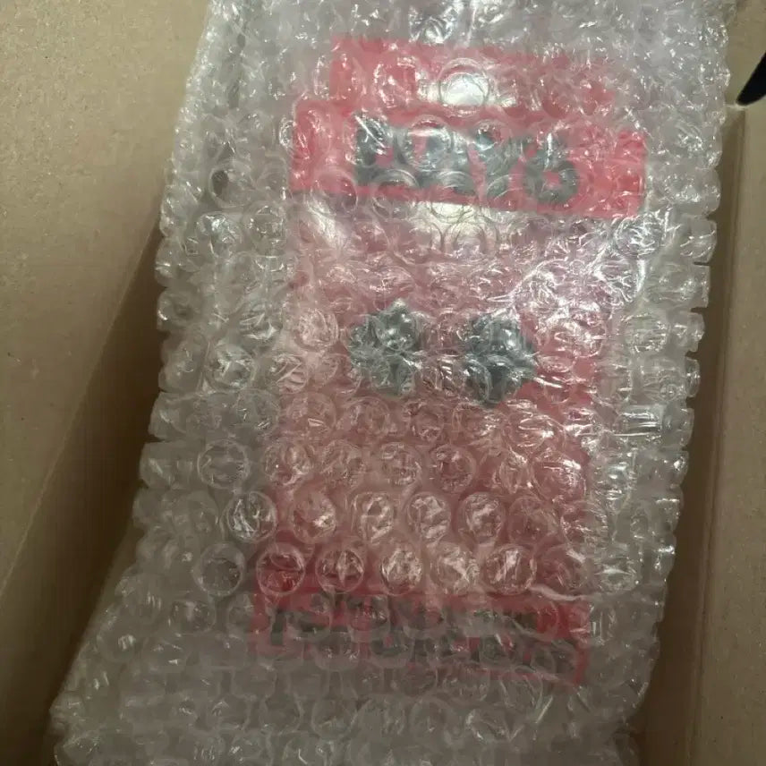 데이식스 인이어 성진 양도