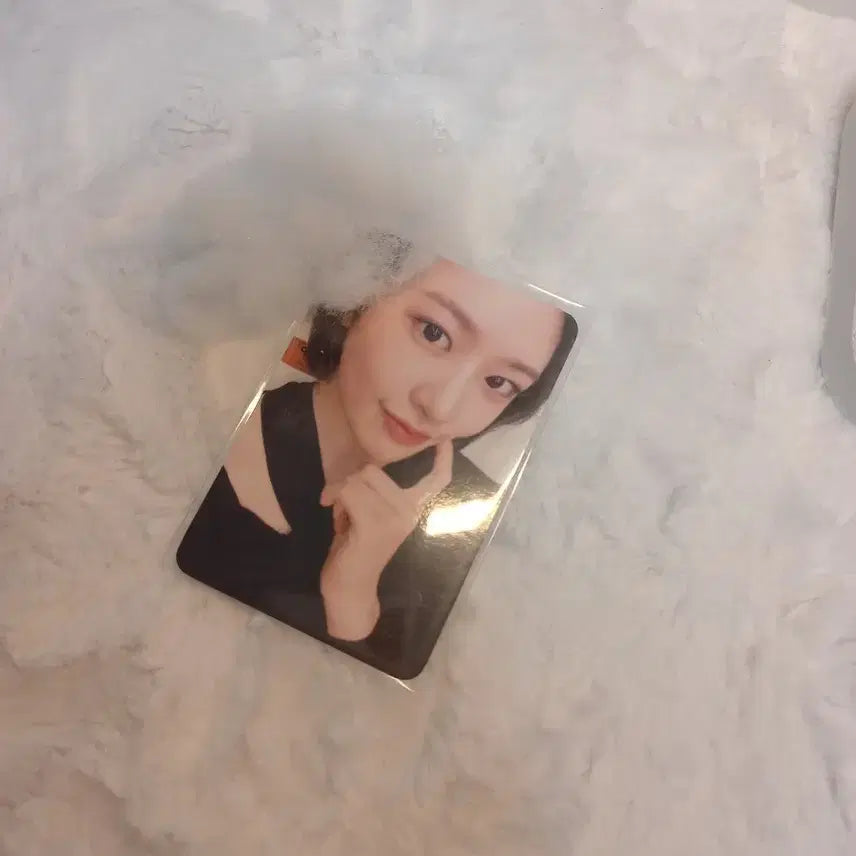 아이브 스위치 유진 포카