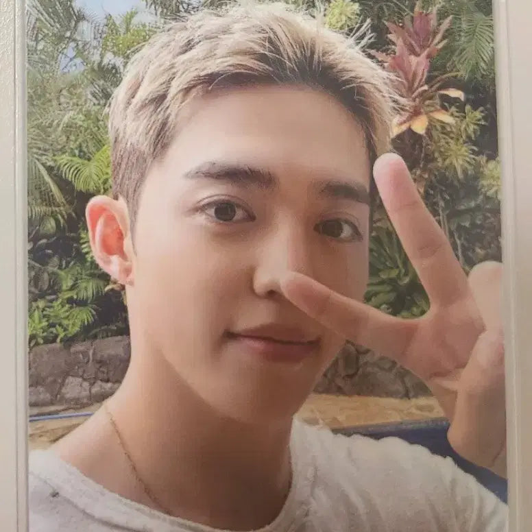 세븐틴 에스쿱스 민규 CxM 씨엑스엠 하입바이브 combi 앨포포카 양도