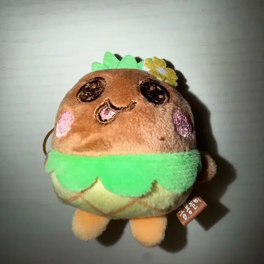 라이즈 리라즈 태닝송용돌이 파인애플 은석 양도