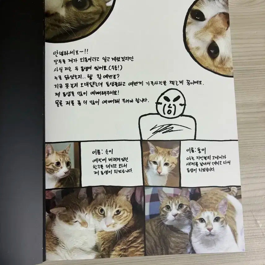 스트레이 키즈 아엠낫 앨범 판매합니다