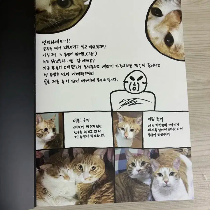 스트레이 키즈 아엠낫 앨범 판매합니다