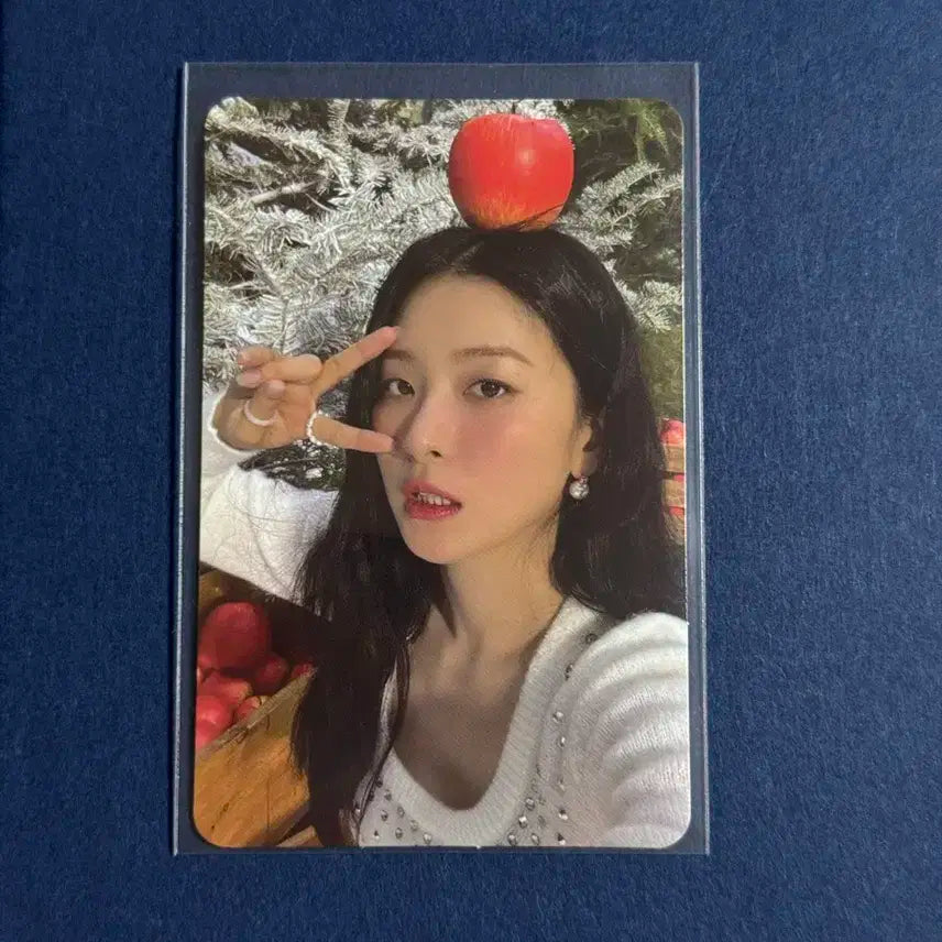 레드벨벳 슬기 2022 smcu palace 포카