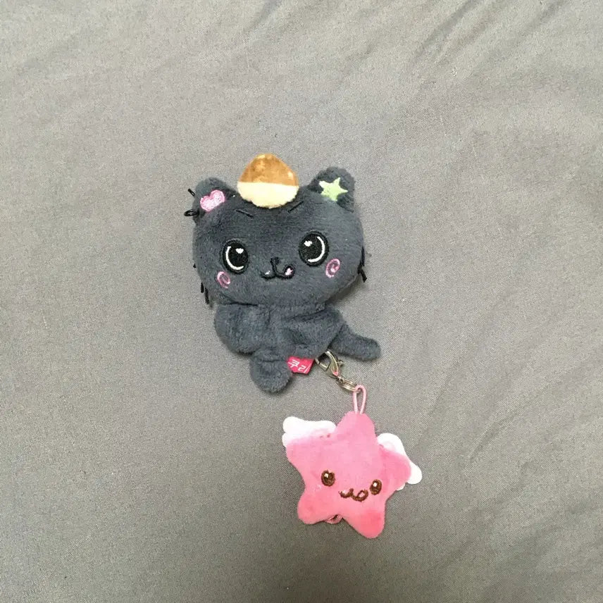 위시 쿠리 미니돌