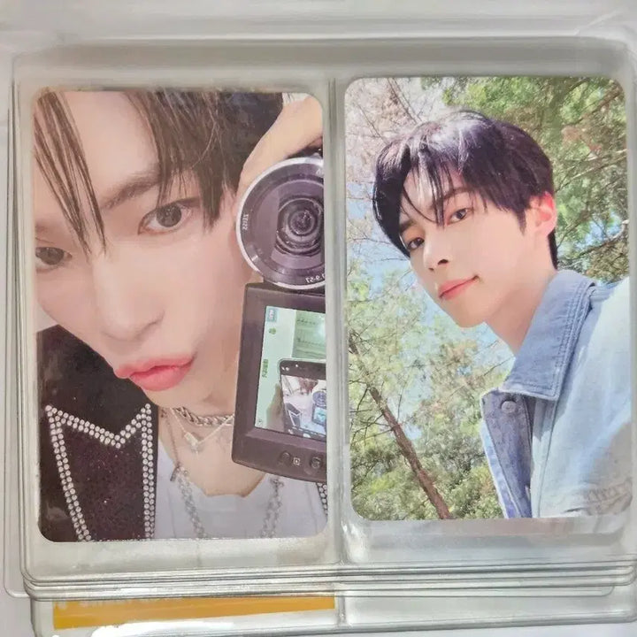 배송비 포함) 제로베이스원 성한빈 포토카드 일괄