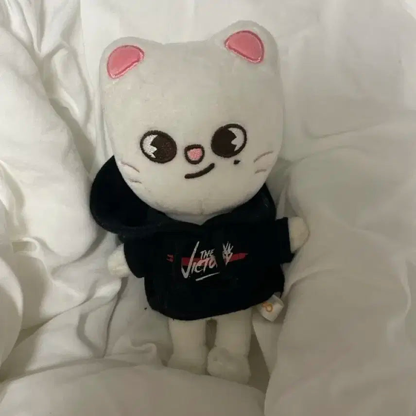 스키주 지니렛 미니