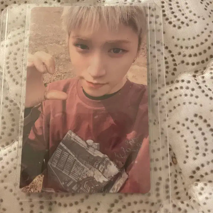 보넥도 포카판매