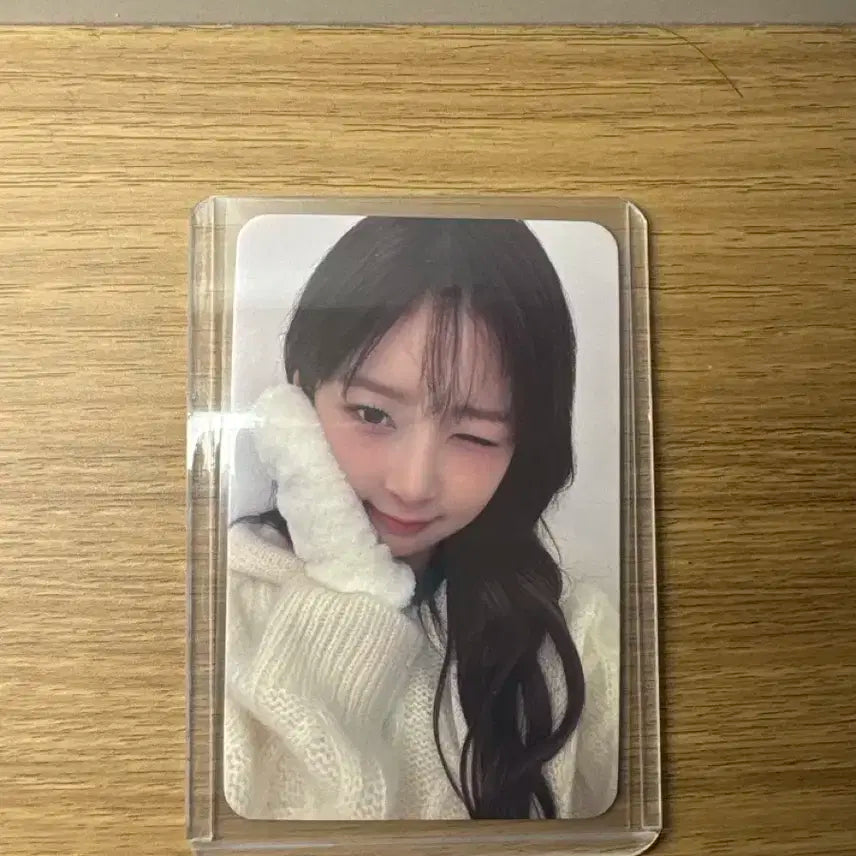 레이 포카
