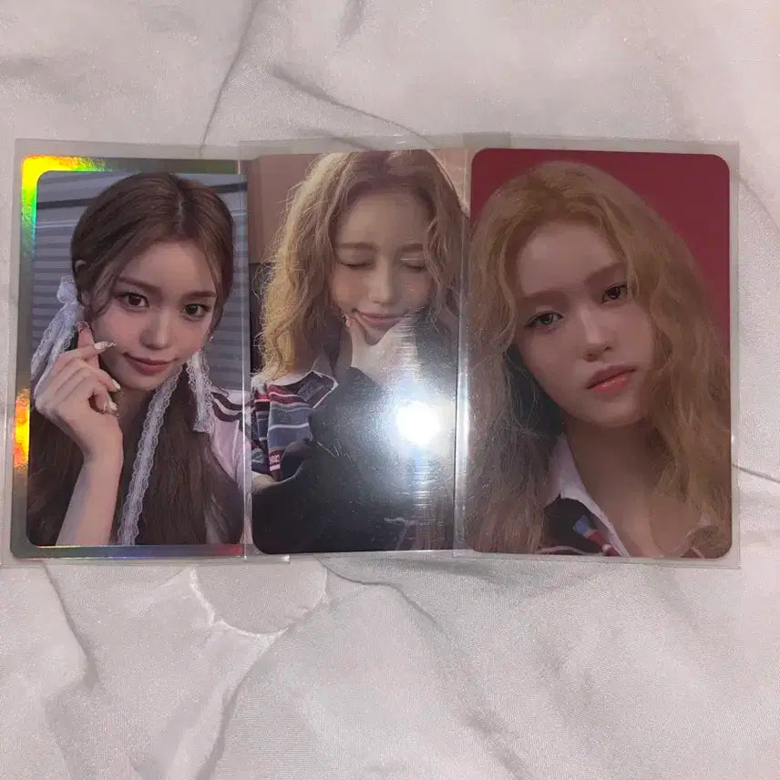 정세비 포카 일괄판매