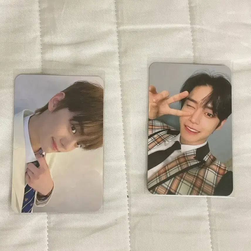 제배원 스쿨룩스 김규빈 김지웅