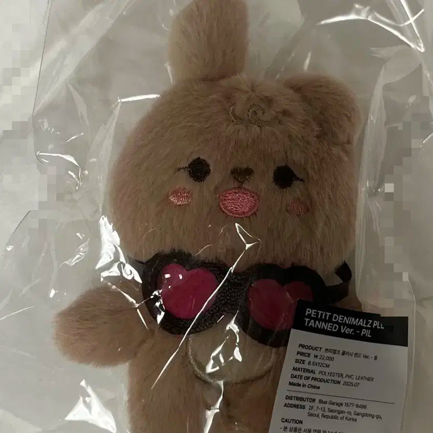 데이식스 태닝멀즈 태닝 쁘띠멀즈 필 양도