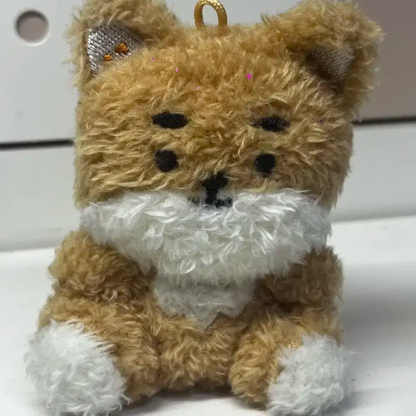 데이식스 영케이 쁘띠케 앉은 케 양도