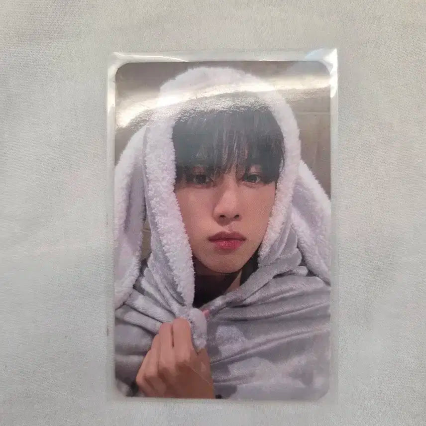 더보이즈 선우 토끼담요/토담 포카 팔아요