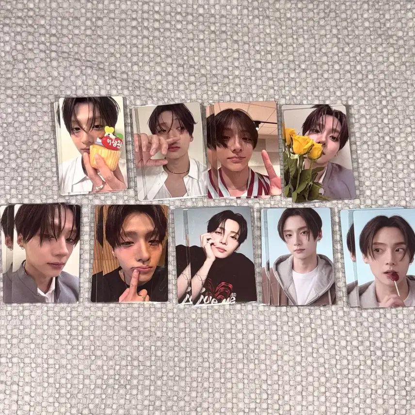 보플 아카이브 전시회 2주차 이상원 포카홀더 포카 풀셋 양도