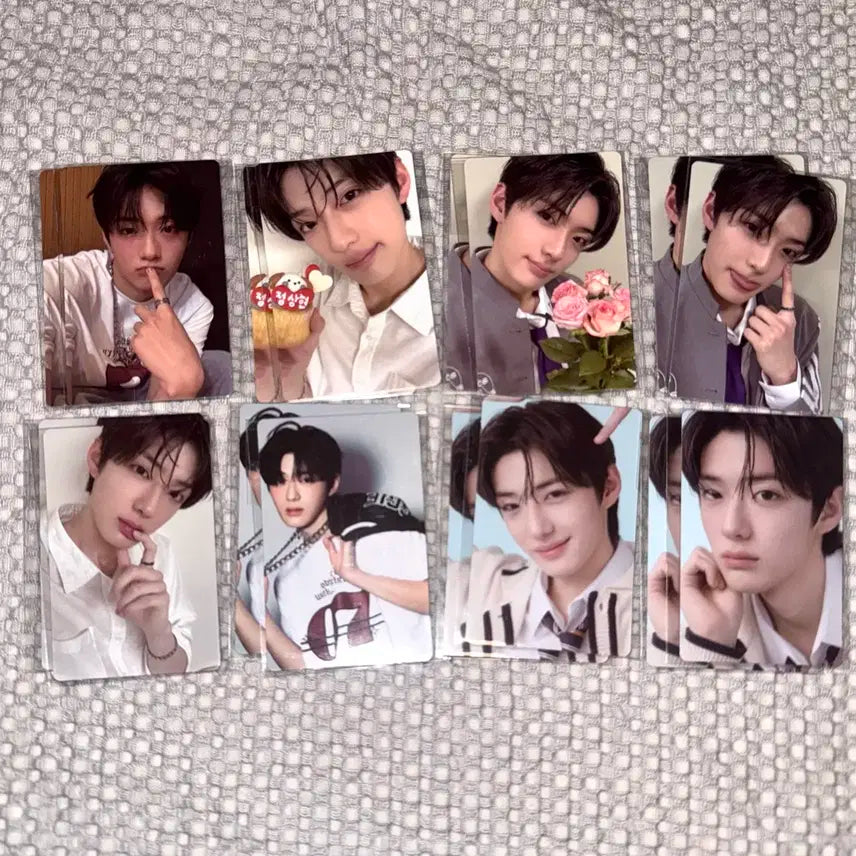 보플 아카이브 전시회 2주차 정상현 포카홀더 포카 풀셋 양도