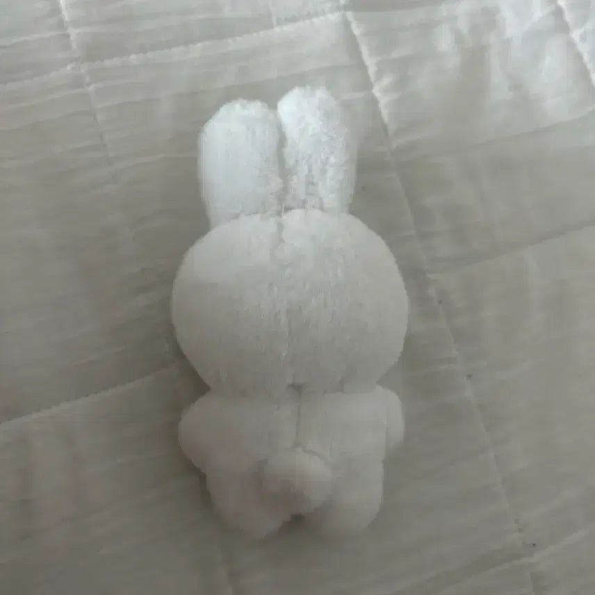 에스파 카리나 인형 카토끼 양도해요