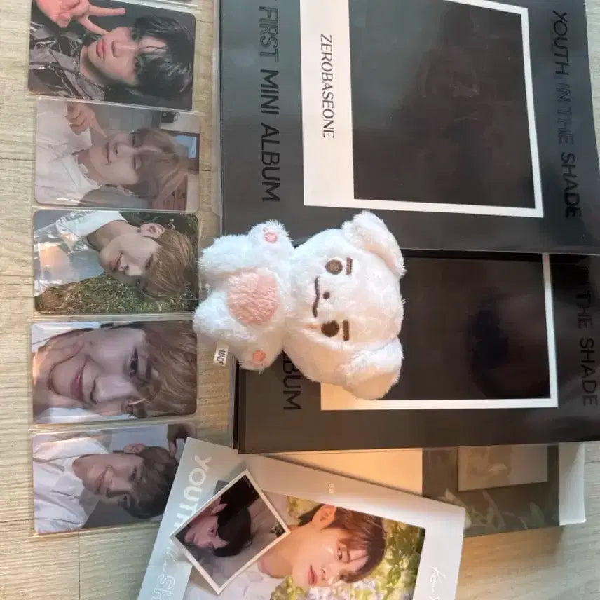 제로베이스원 포카, 앨범 , 김태래 인형 일괄 판매합니다