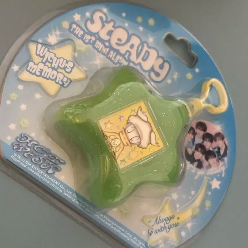 료 스테디 steady 키링 앨범 위시 wish