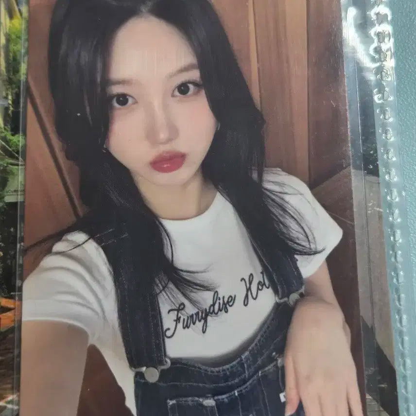 아이브 포카 가을 다이브존