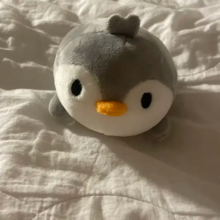 펭귄 찰찰이 인형