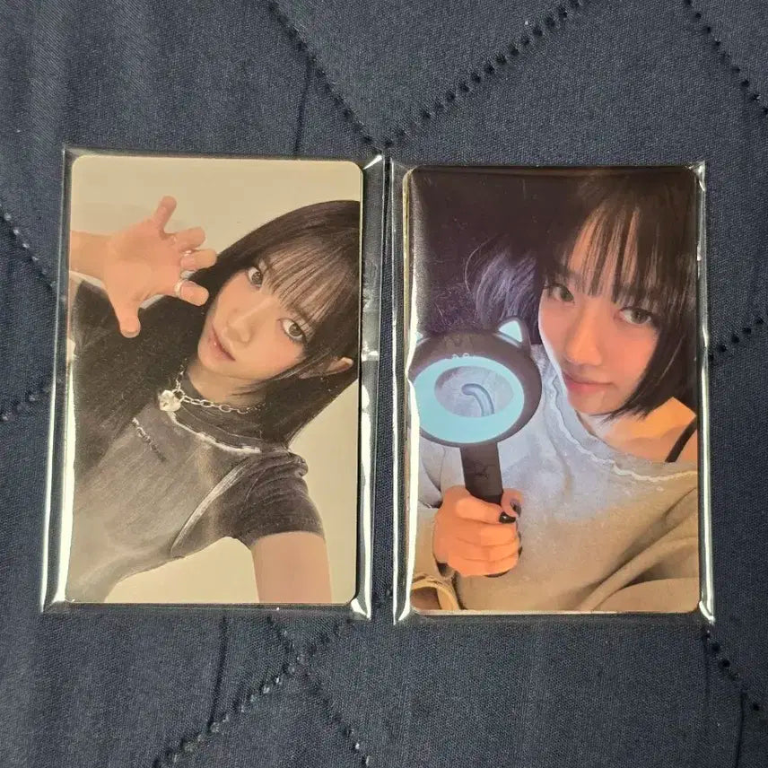 미야오 응원봉 포토카드 세트 +  특전 포토카드 세트 미개봉