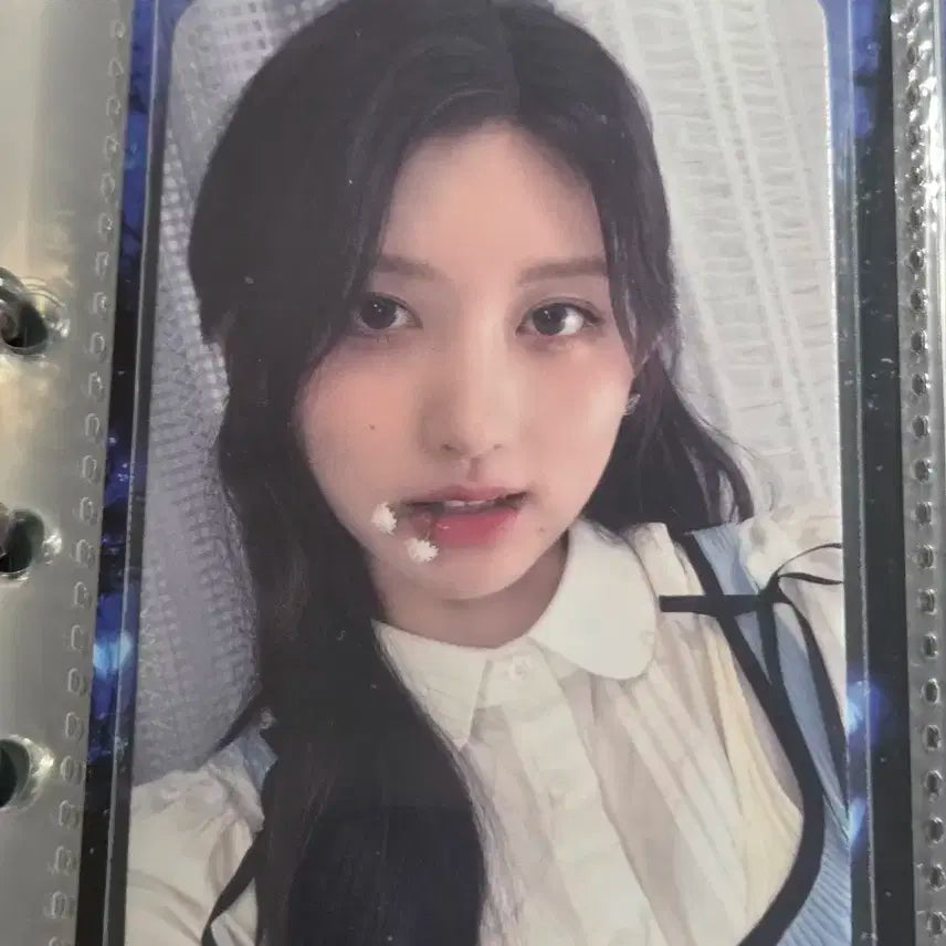 아이브 가을 포카 시그 사웨