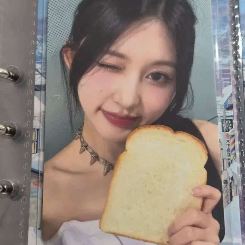 아이브 가을 포카 식빵
