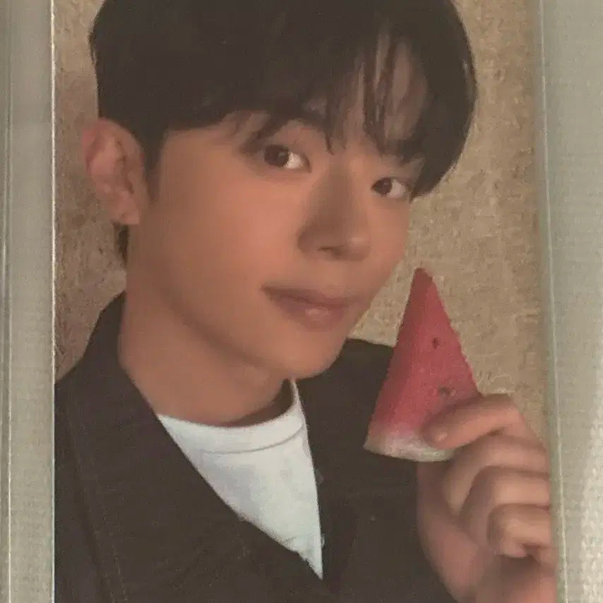 보플2 전시회 유강민 6번 수박 포카 양도