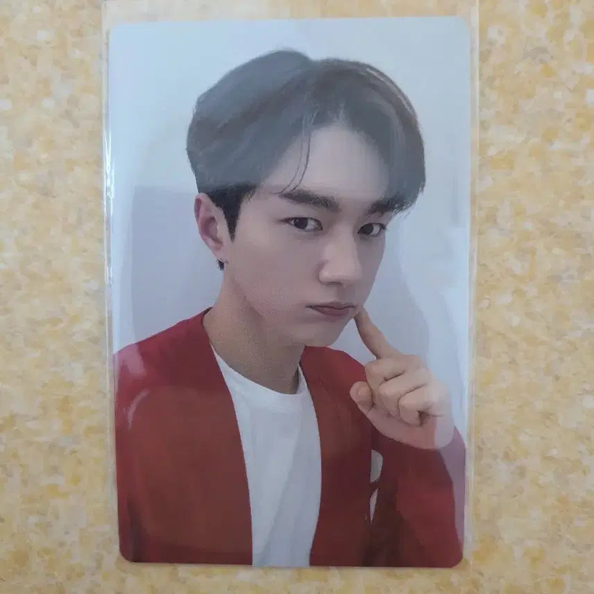인피니트 엘 명수 앙콘 입장 포카 + MD 포카 엽서